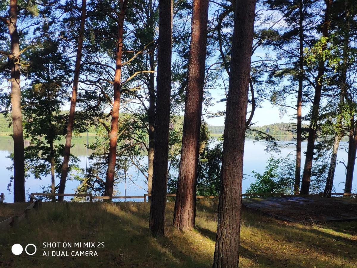 Sloneczny Domek Borsk Nr 2 I 15 - Nad Samym Jeziorem W Pierwszej Linii ภายนอก รูปภาพ